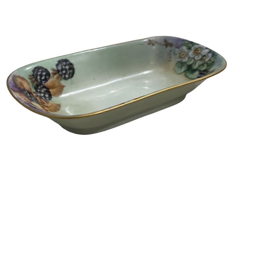 Antique MZ Moritz Zdekauer Celery/Butter Dish Plate Hand Painted